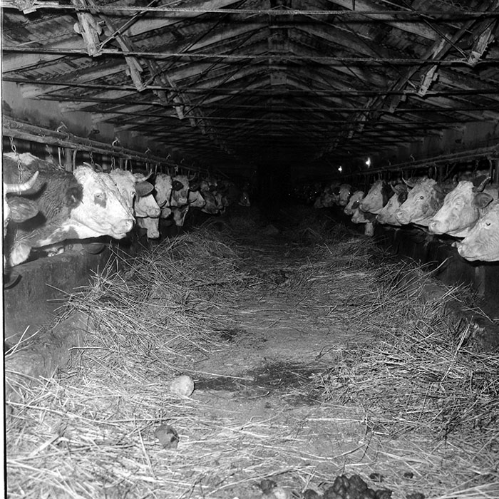 minerva_1985_c2_c1r4_078