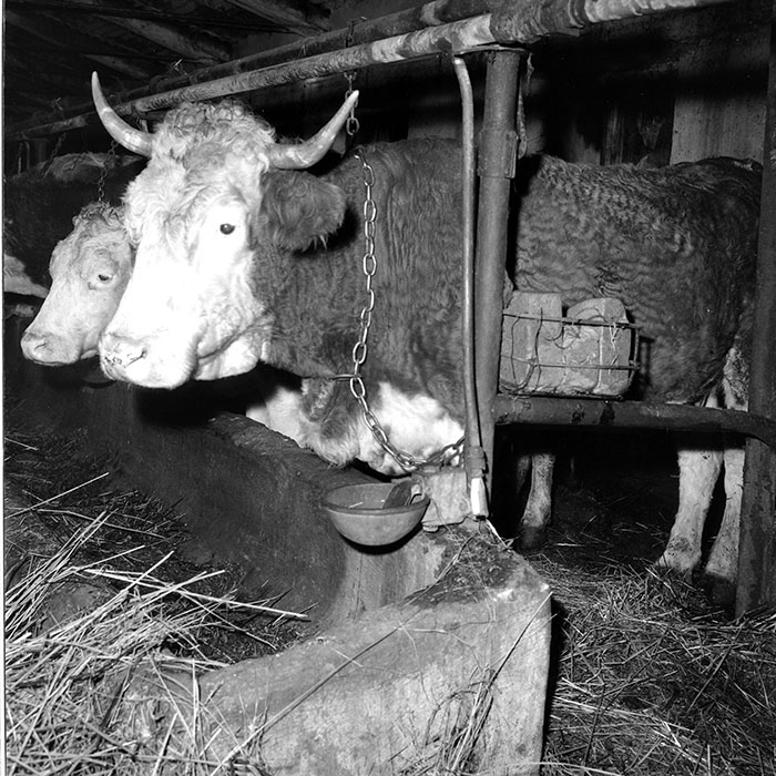 minerva_1985_c2_c1r4_079