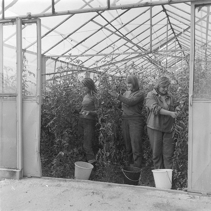 minerva_1985_c2_c2r1_001