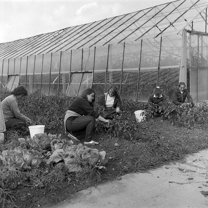 minerva_1985_c2_c2r1_002