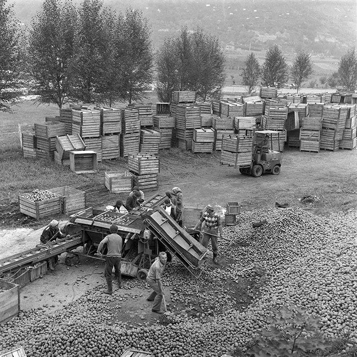 minerva_1985_c2_c2r1_006