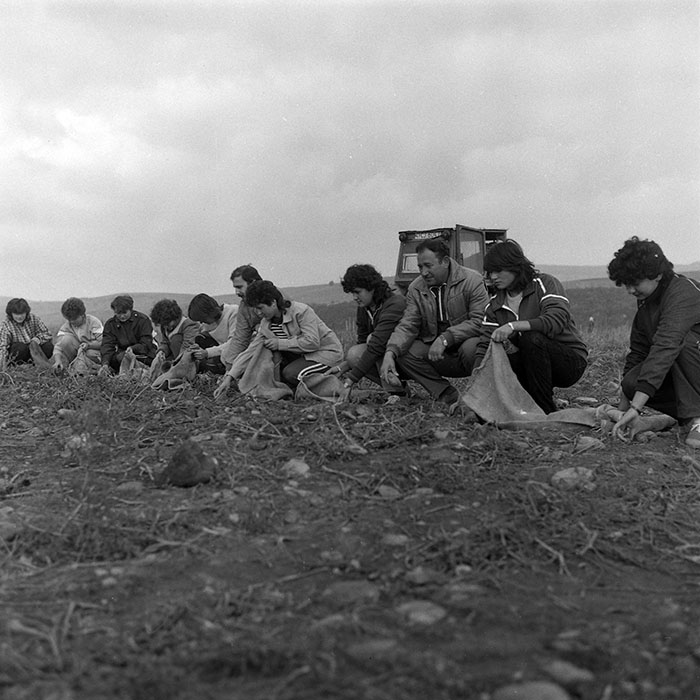 minerva_1985_c2_c2r1_007