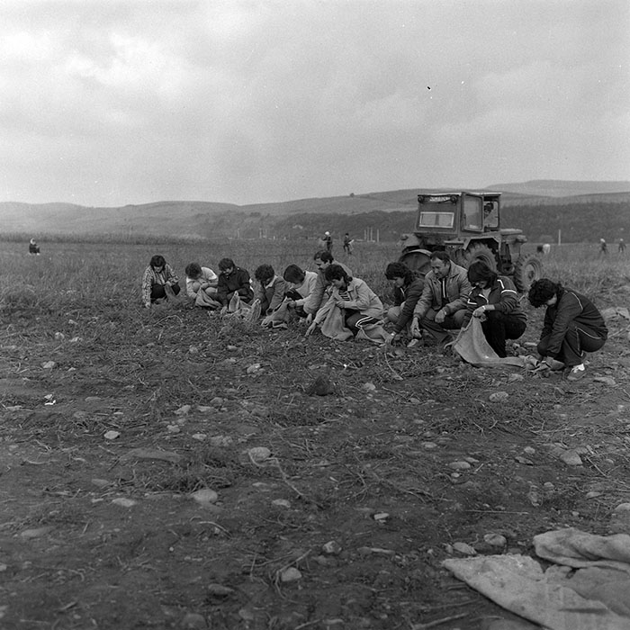 minerva_1985_c2_c2r1_008