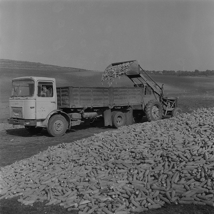 minerva_1985_c2_c2r1_012