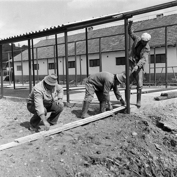 minerva_1985_c2_c2r1_021