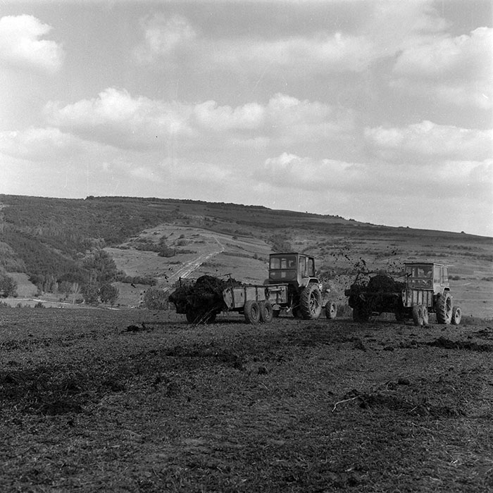 minerva_1985_c2_c2r1_027