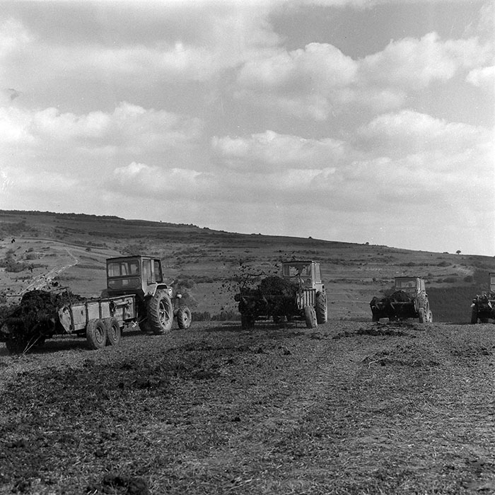 minerva_1985_c2_c2r1_028