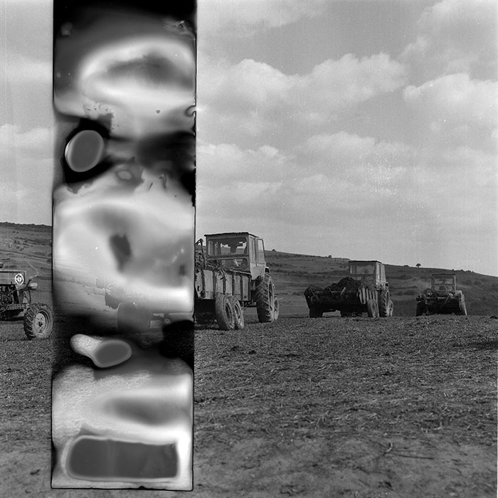 minerva_1985_c2_c2r1_030