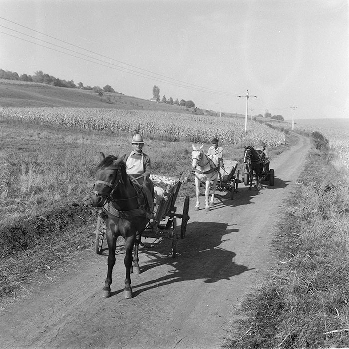 minerva_1985_c2_c2r2_002