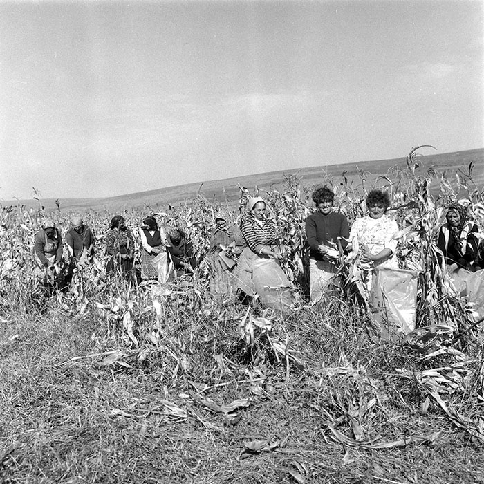 minerva_1985_c2_c2r2_005