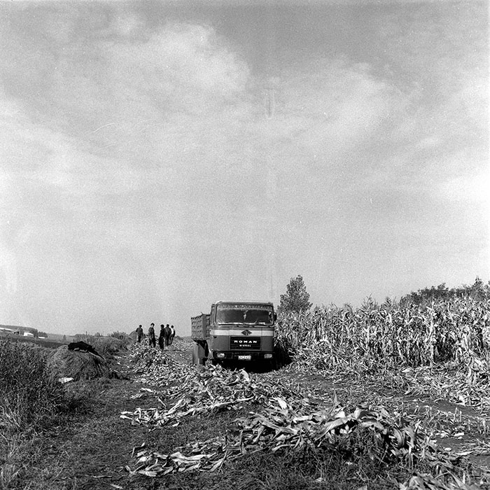 minerva_1985_c2_c2r2_006