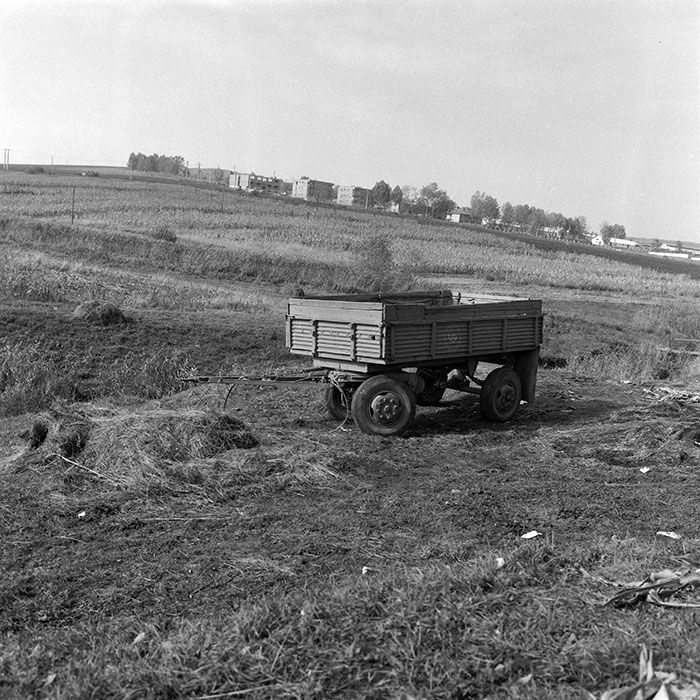 minerva_1985_c2_c2r2_007