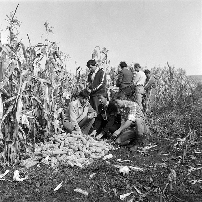 minerva_1985_c2_c2r2_009