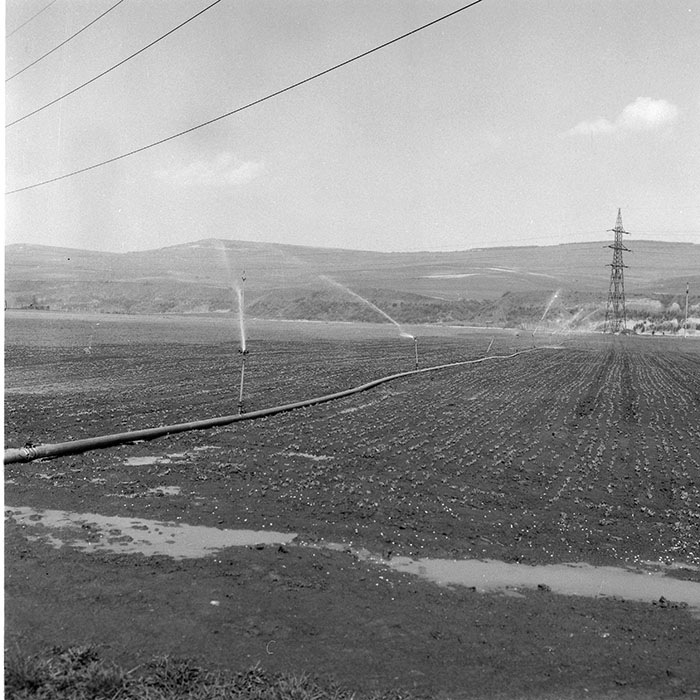 minerva_1985_c2_c2r2_020