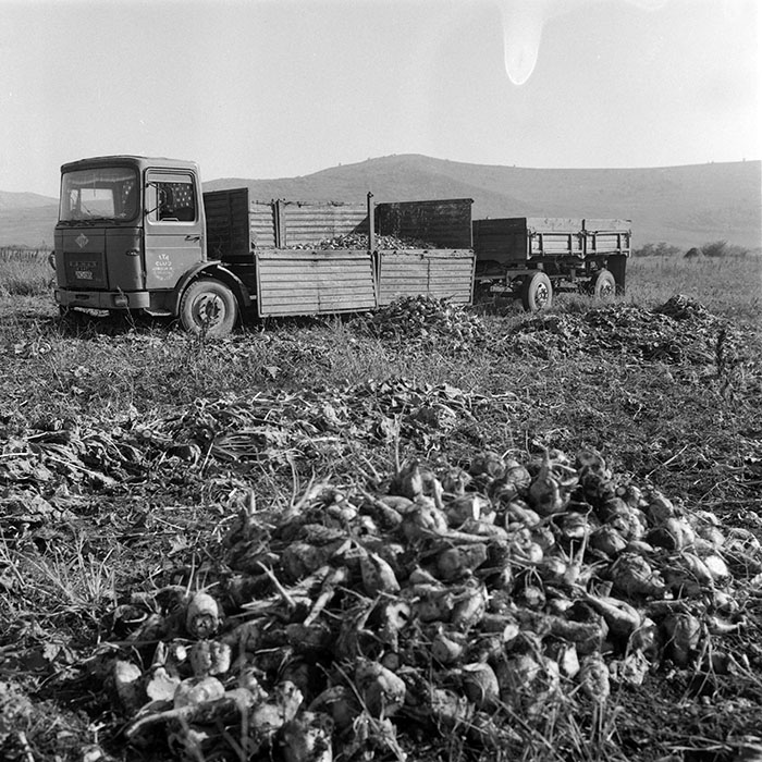 minerva_1985_c2_c2r2_026