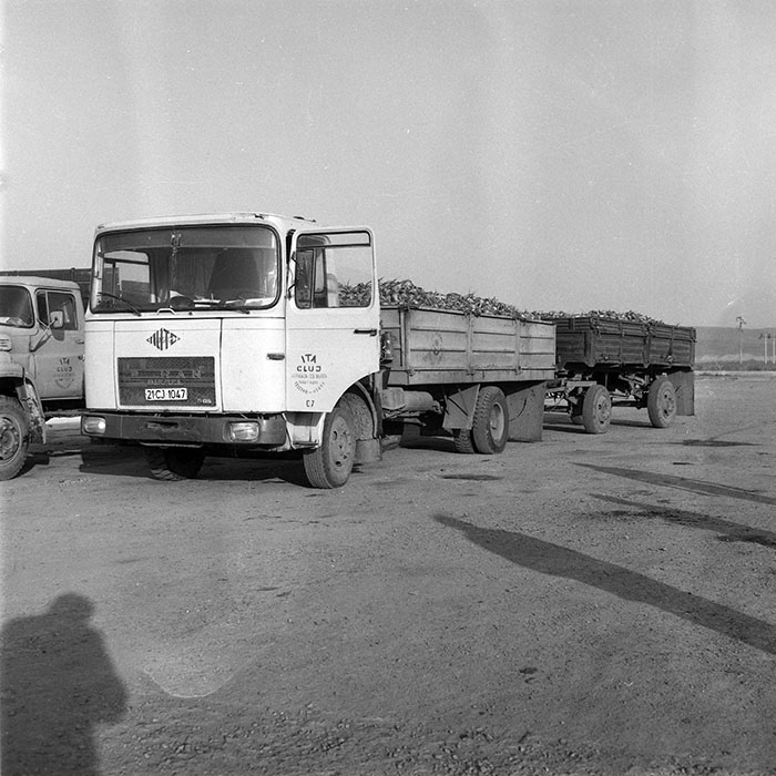 minerva_1985_c2_c2r2_030