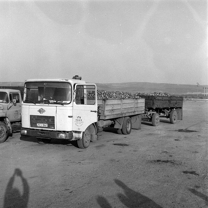 minerva_1985_c2_c2r2_031