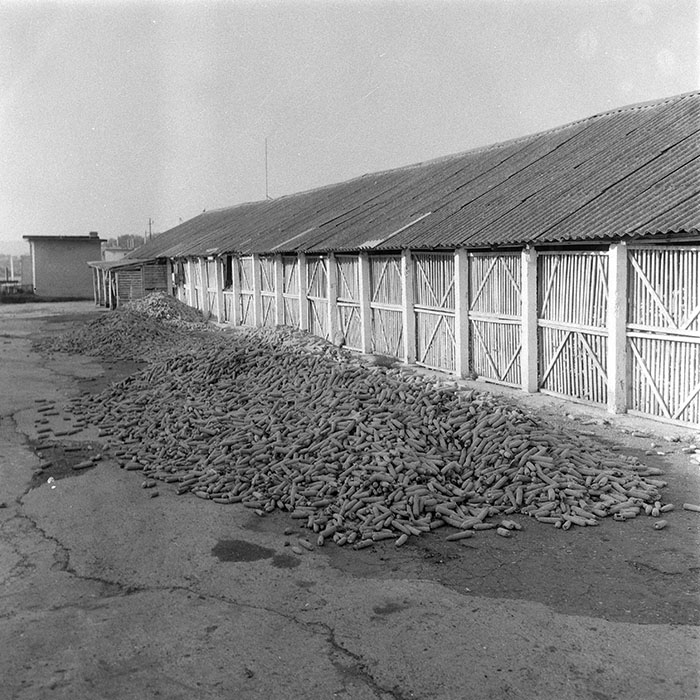 minerva_1985_c2_c2r2_032