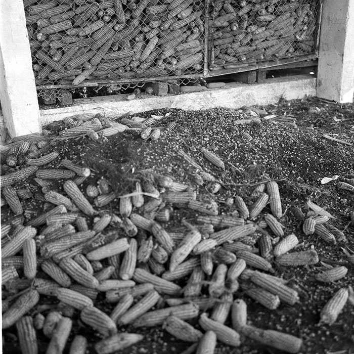 minerva_1985_c2_c2r2_036