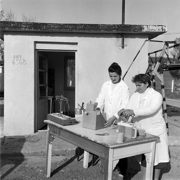 minerva_1985_c2_c2r2_037