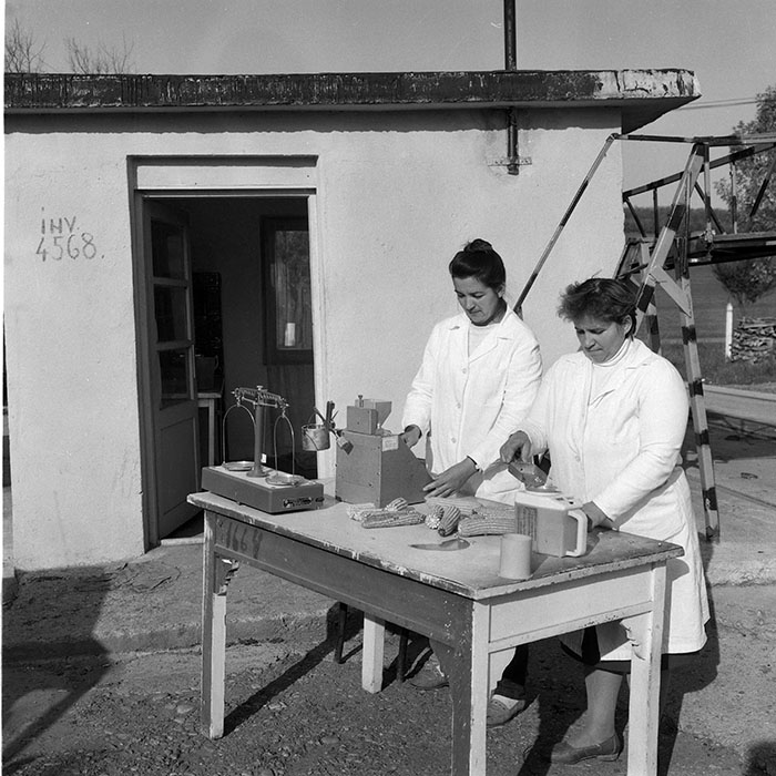 minerva_1985_c2_c2r2_038