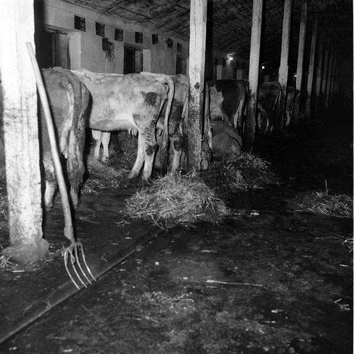 minerva_1985_c2_c2r3_009