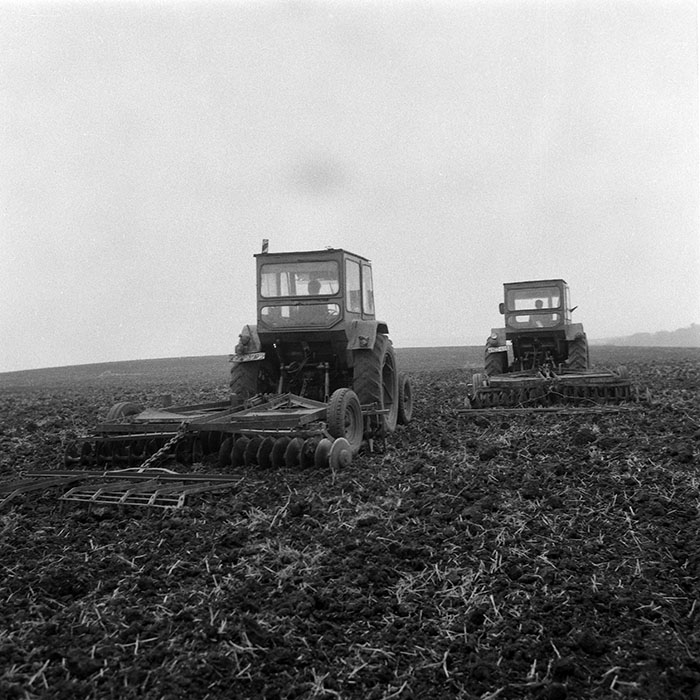 minerva_1985_c2_c2r3_013