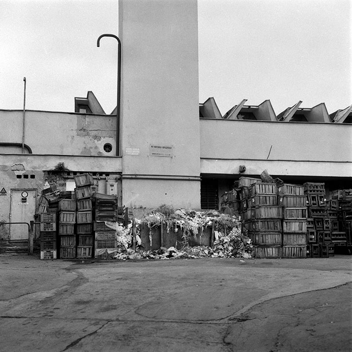 minerva_1985_c2_c2r3_015