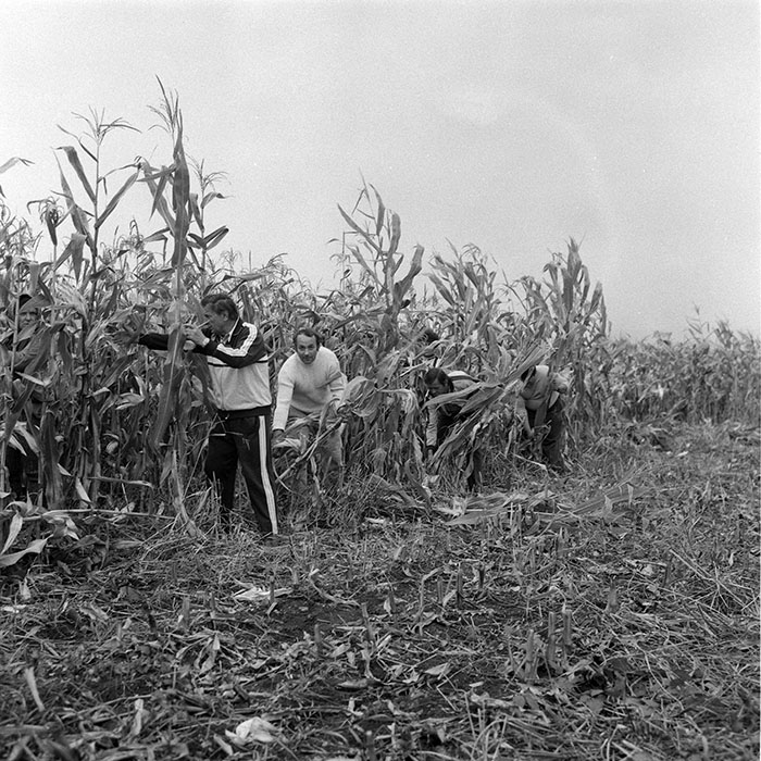 minerva_1985_c2_c2r3_021