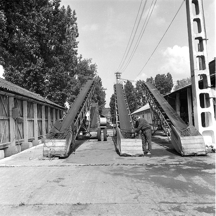 minerva_1985_c2_c2r3_032