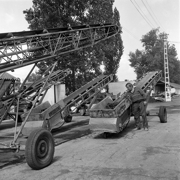 minerva_1985_c2_c2r3_033