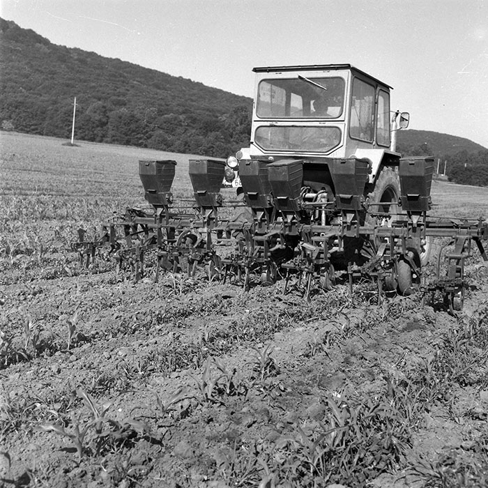 minerva_1985_c2_c2r3_040