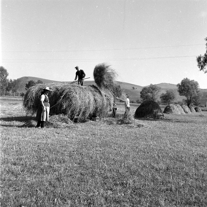 minerva_1985_c2_c2r3_044