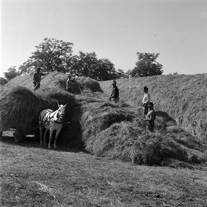 minerva_1985_c2_c2r3_046