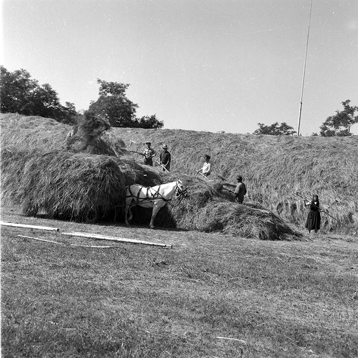 minerva_1985_c2_c2r3_048