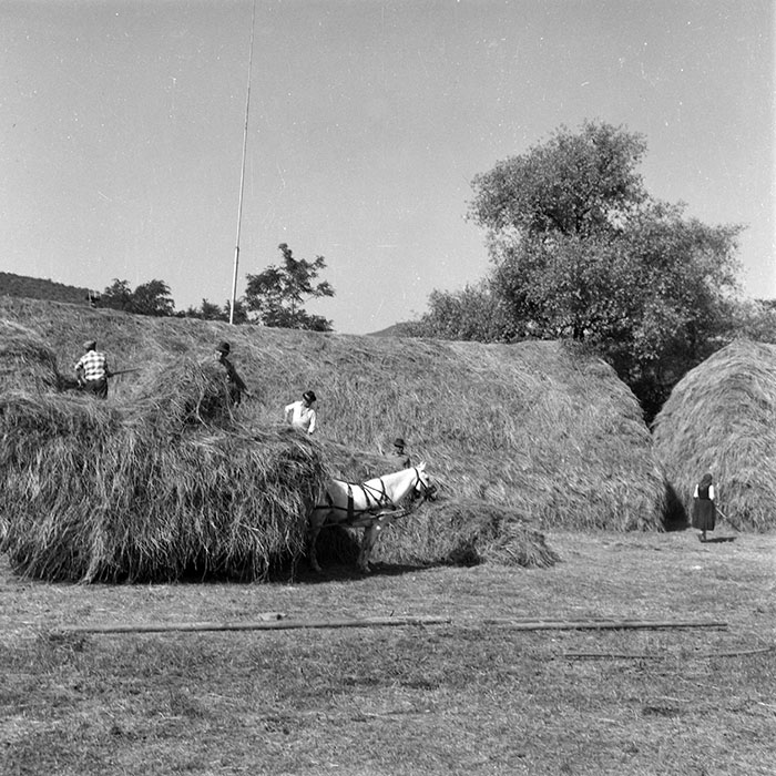 minerva_1985_c2_c2r3_049