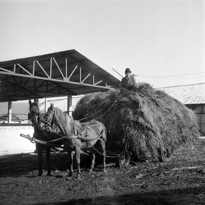 minerva_1985_c2_c2r3_052