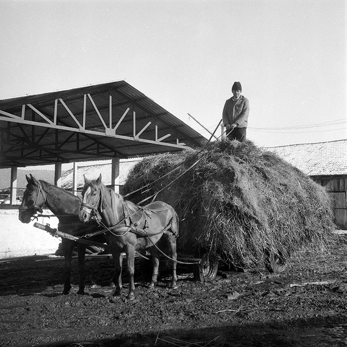 minerva_1985_c2_c2r3_053