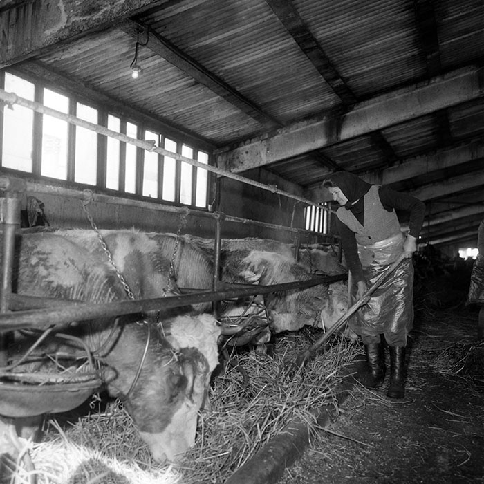 minerva_1985_c2_c2r3_054