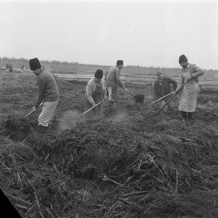 minerva_1985_c2_c2r4_001