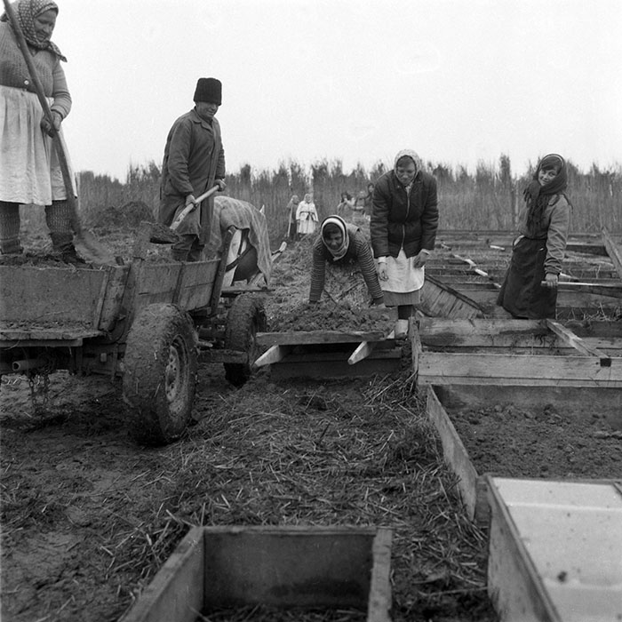 minerva_1985_c2_c2r4_003