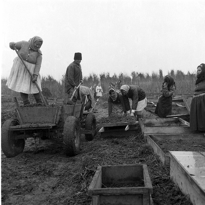 minerva_1985_c2_c2r4_004