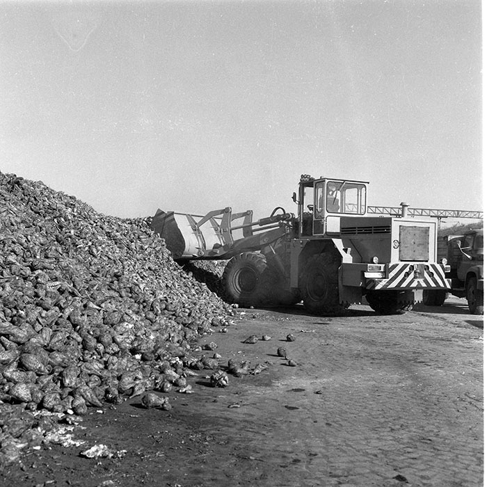 minerva_1985_c2_c2r4_015