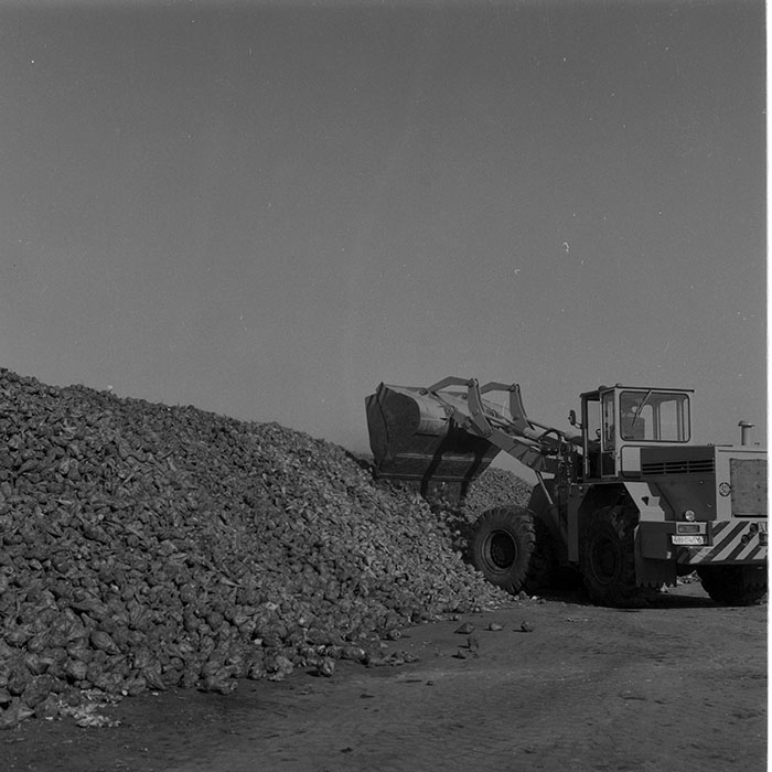 minerva_1985_c2_c2r4_016