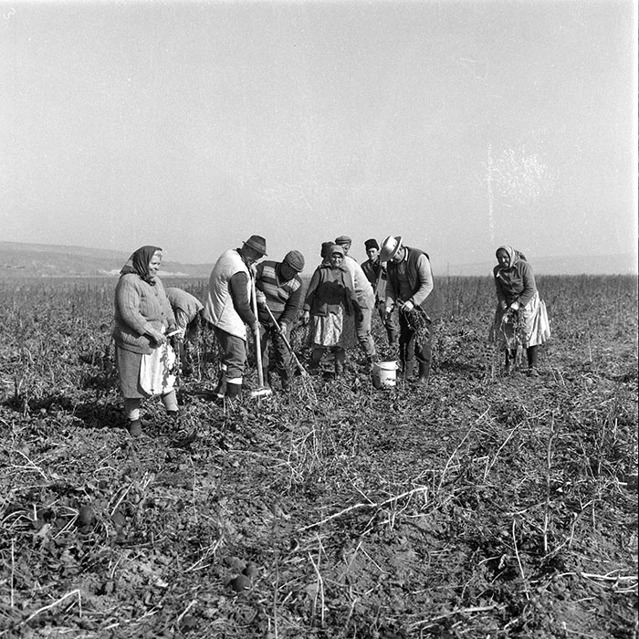 minerva_1985_c2_c2r4_020