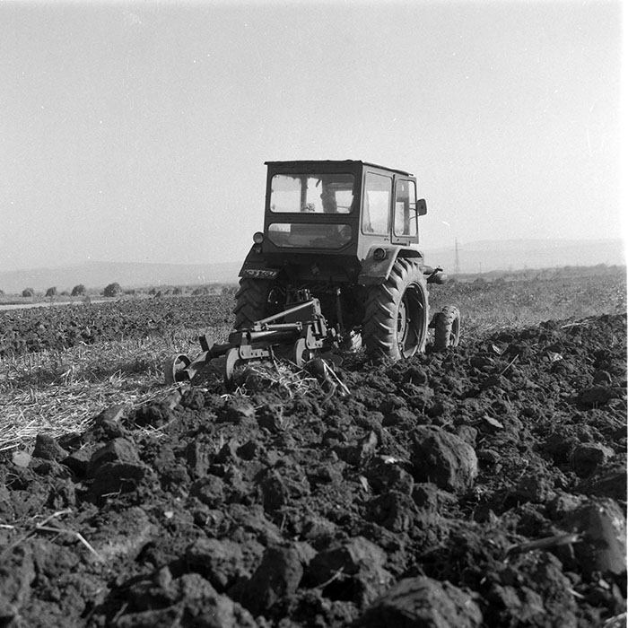 minerva_1985_c2_c2r4_021