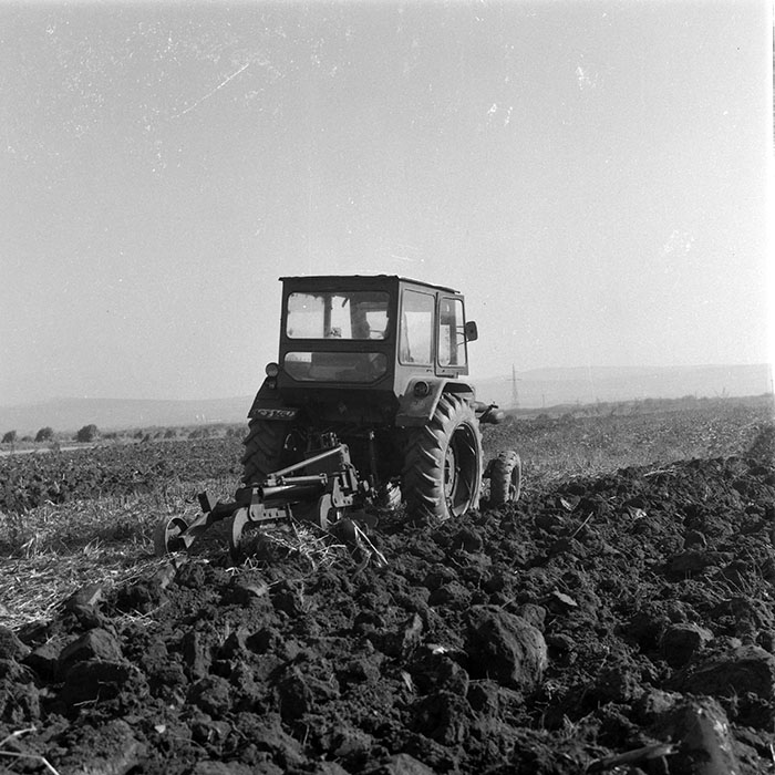 minerva_1985_c2_c2r4_022