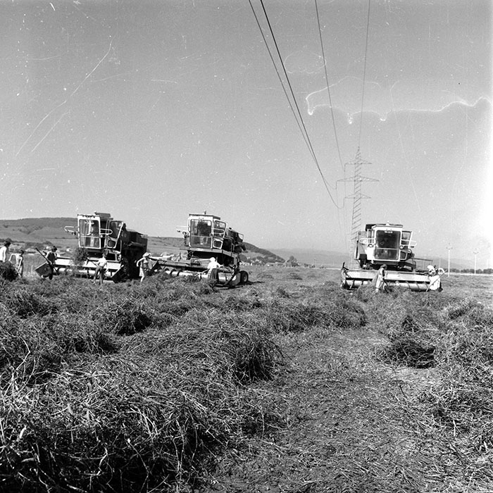 minerva_1985_c2_c2r4_025