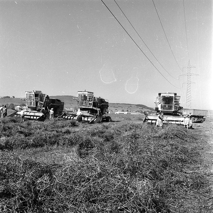 minerva_1985_c2_c2r4_026