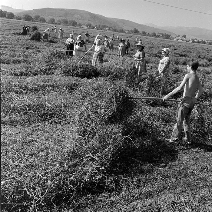 minerva_1985_c2_c2r4_027